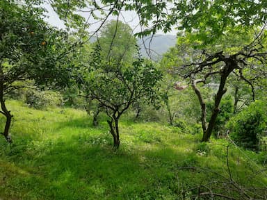 Land plot for sale in Chakvi | Quality Homes